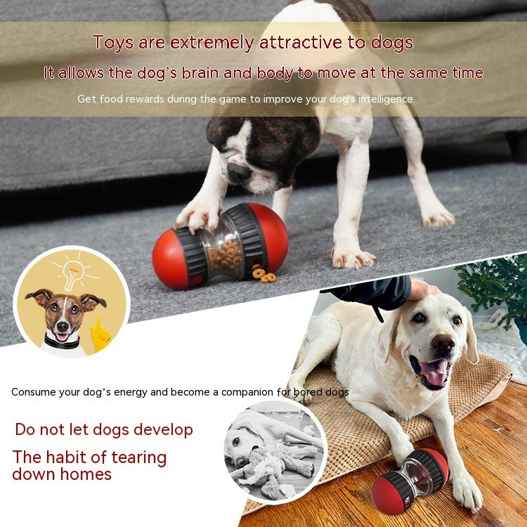 Thrilling Leakage Toy