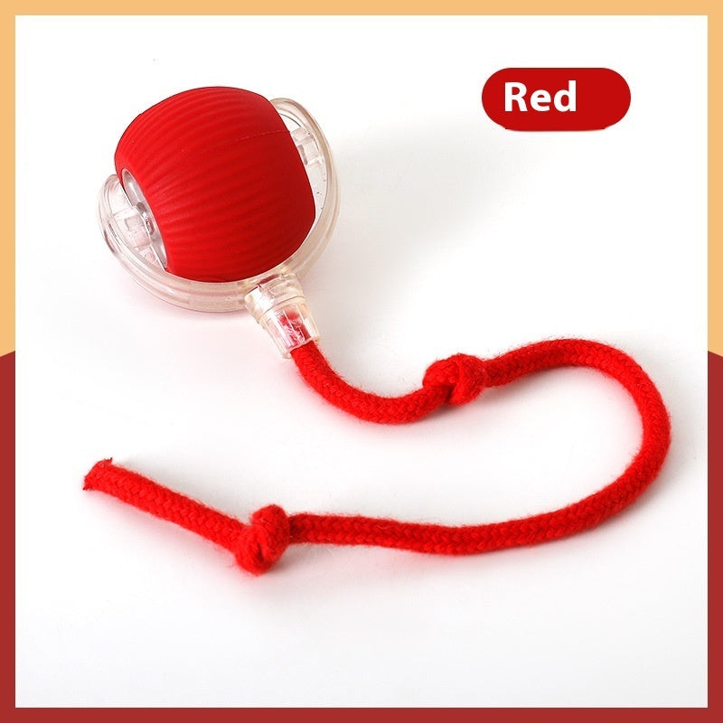 Super Interactive Rolling Toy Ball For Pets