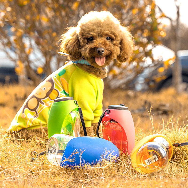 Pet Water Dispenser