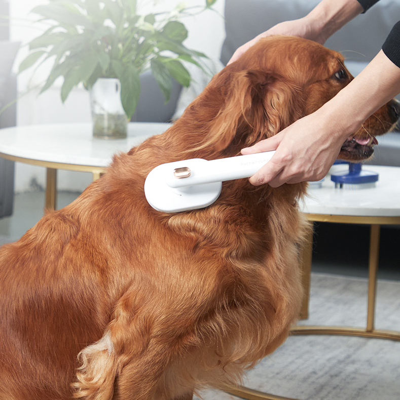 Pet Hair Comb