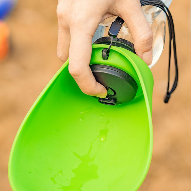 Pet Water Dispenser